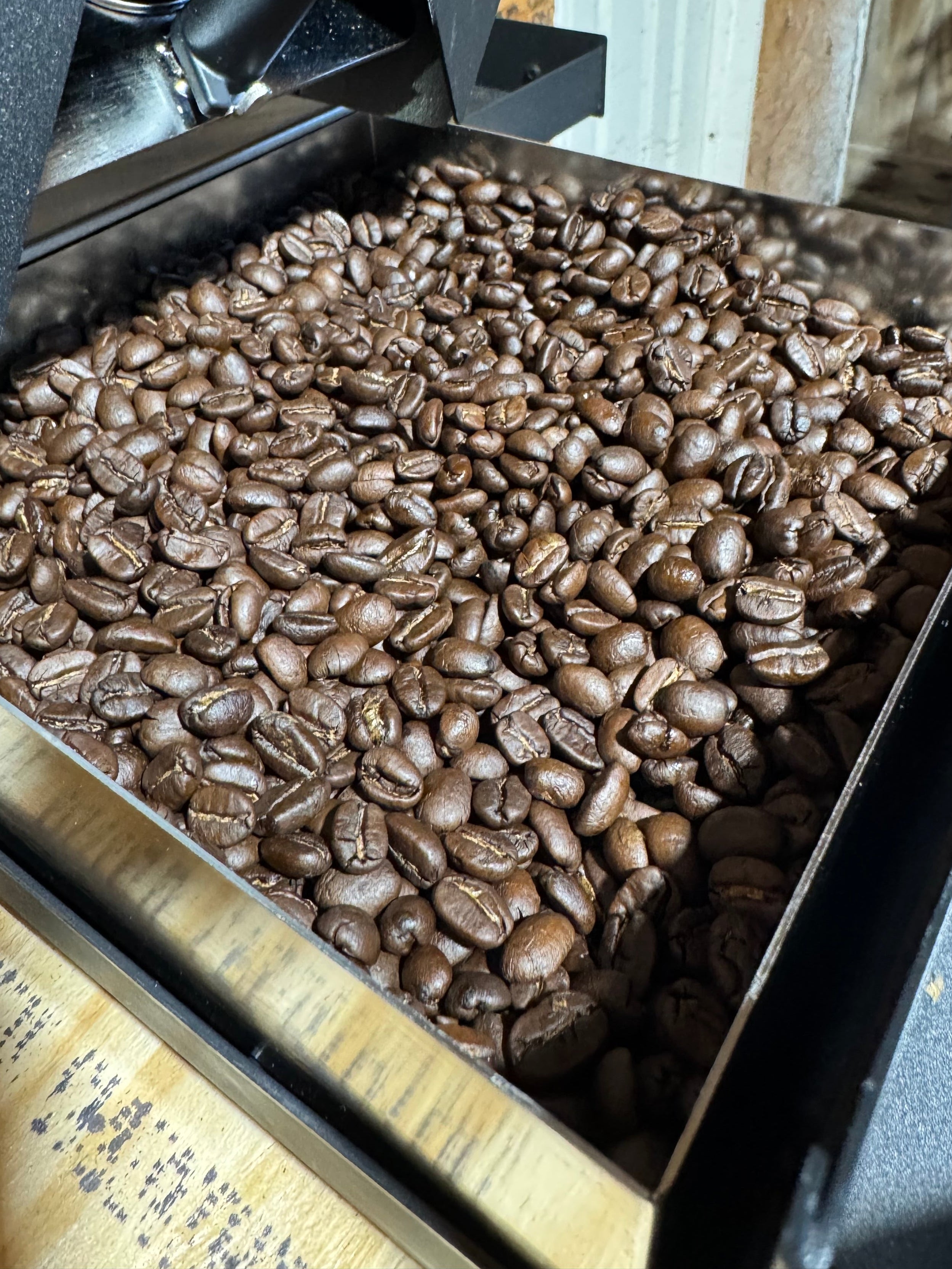 Territory Series - World Traveler Coffee Subscription